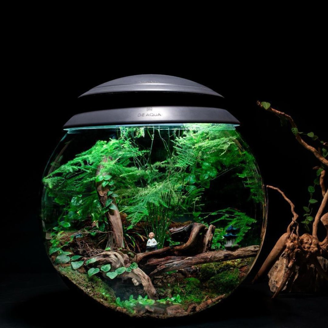 Biosphere Automatic Terrarium- Borosilicate