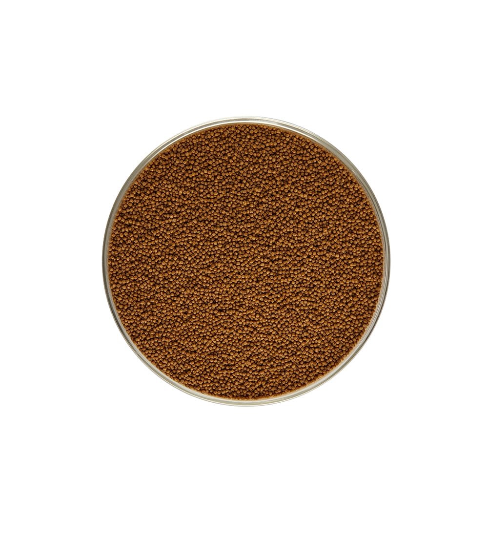 Intan - Betta Pellets - Image 3