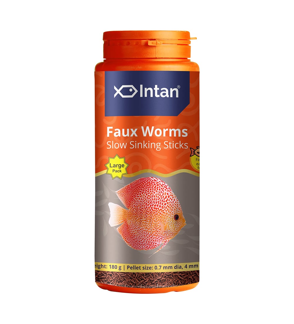 Intan - Faux Worms - Image 2