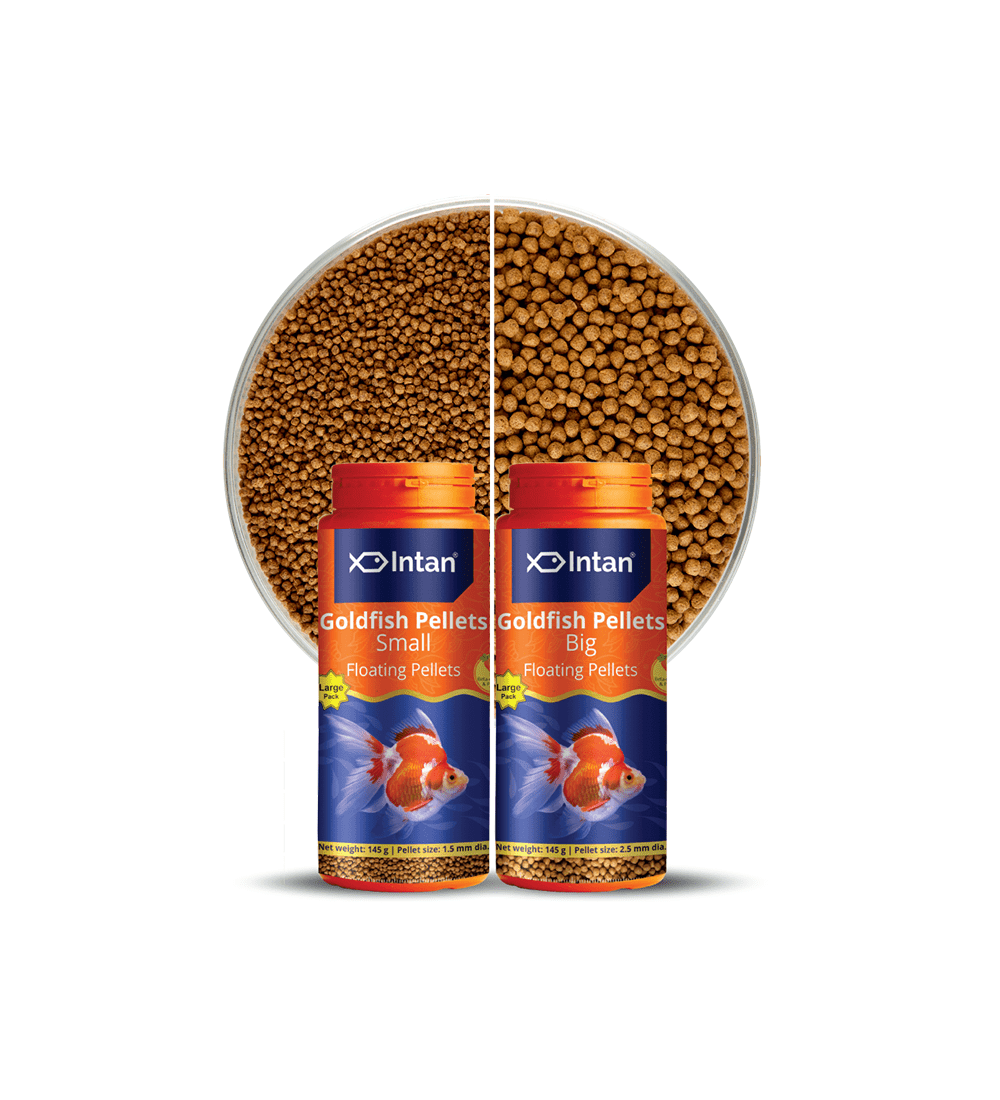 Intan - Gold Fish Pellets (Big)
