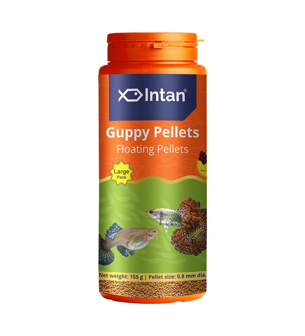 Intan - Guppy Pellets