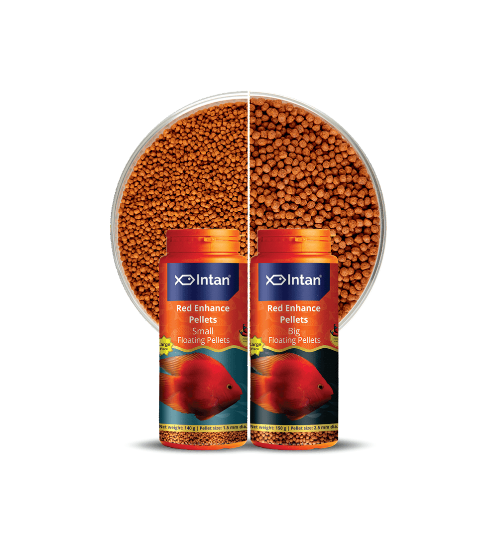 Intan - Red Enhance Pellet (Small)