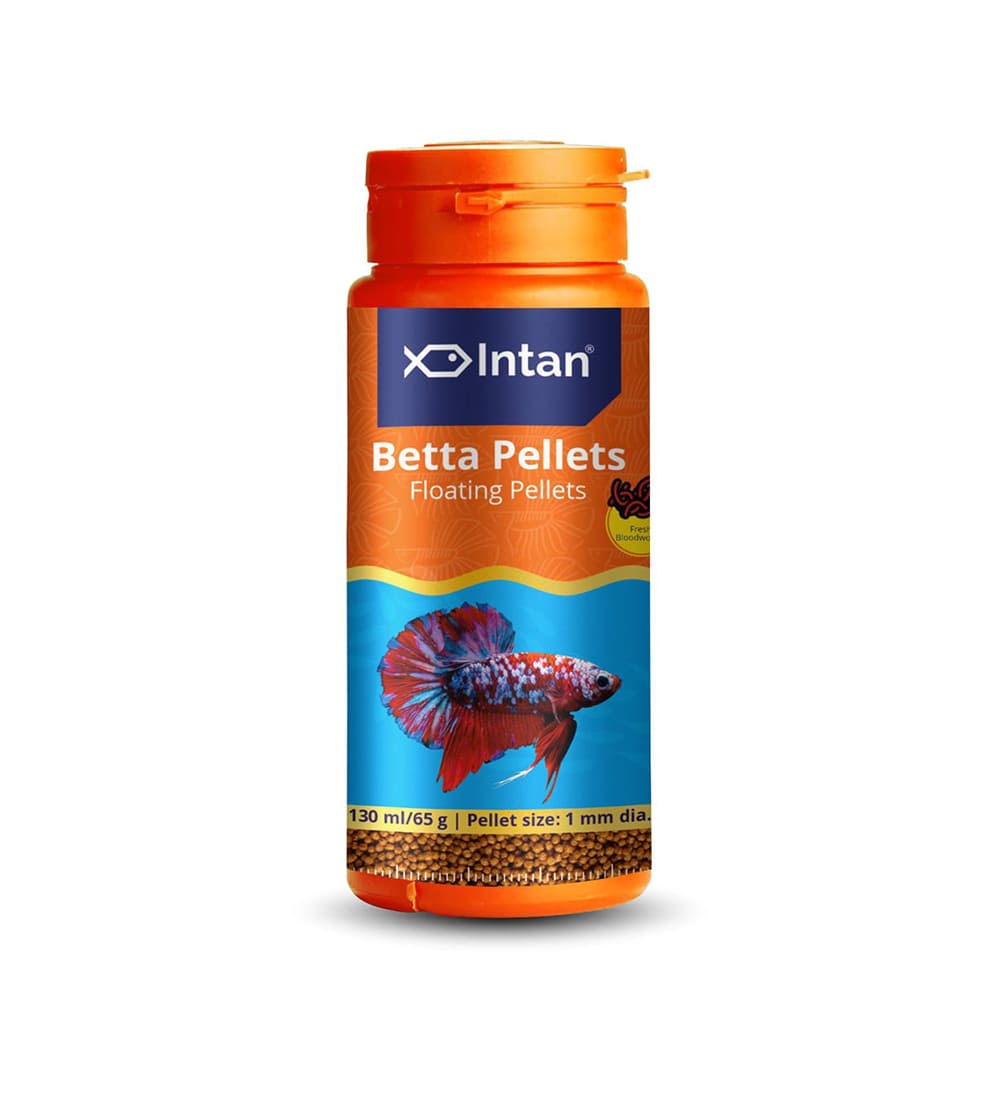 Intan - Betta Pellets - Image 2
