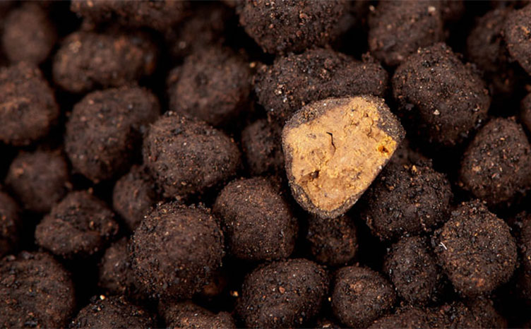 Neo Compact Soil Plants “Normal”